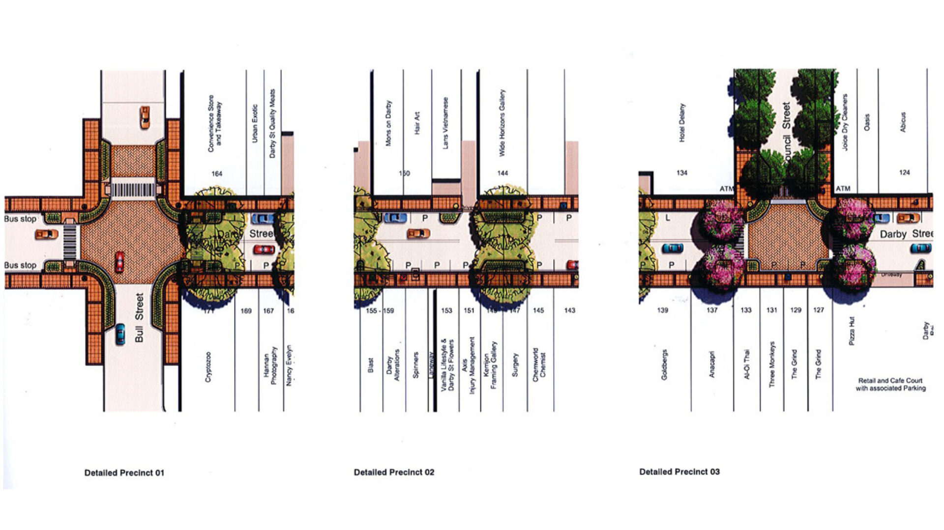 Darby St Precinct 5 Year Upgrade Plan